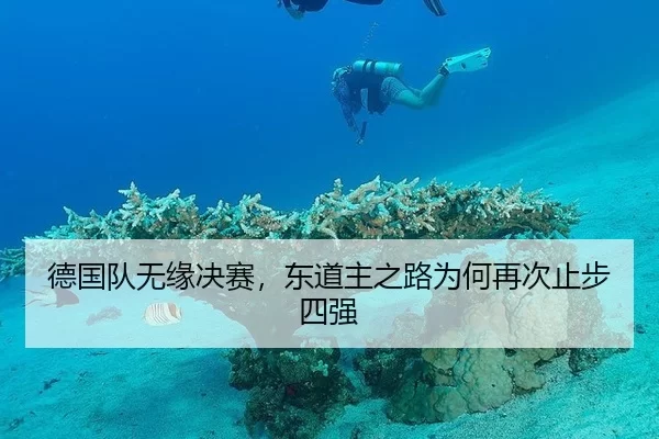 德国队无缘决赛，东道主之路为何再次止步四强